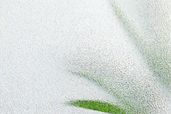 ポリスチレン樹指板イメージ画像
